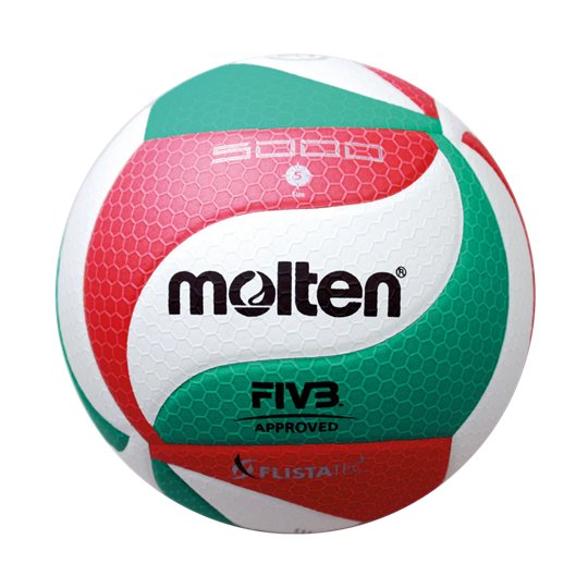 MOLTEN V5M5000 Volleyball